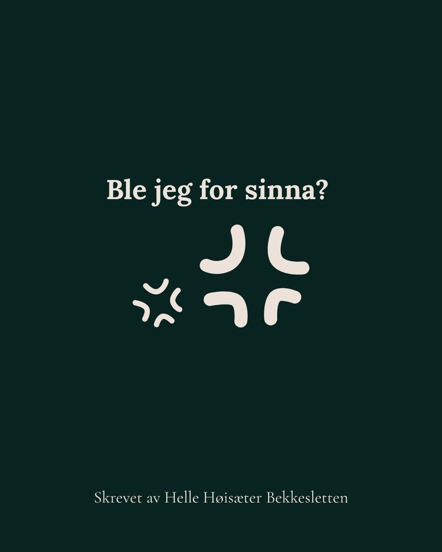 Bilde 1 av 1 i Instagram-innlegget «Ble jeg for sinna?»