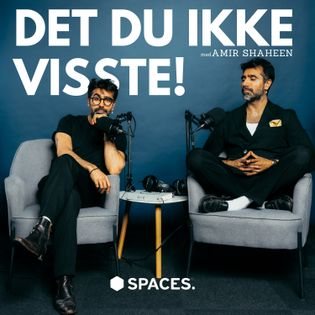 Omslaget til Det du ikke visste